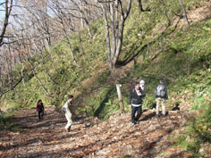 三国山、湯沢アルプの里 ハイキング