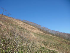 三国山、湯沢アルプの里 ハイキング