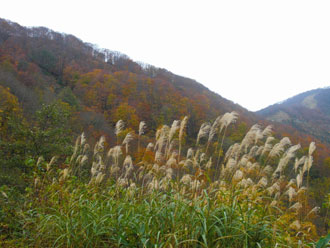 三国山、湯沢アルプの里 ハイキング