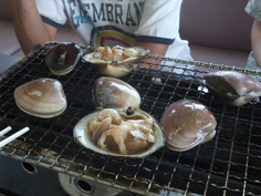 2010年度合宿レポート
