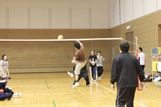試合！