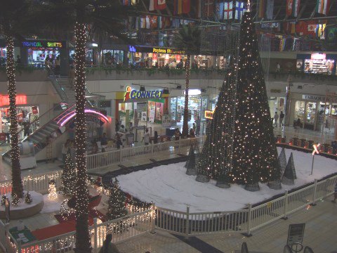 クリスマスツリーがライトアップされてました。