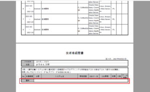 技術経歴書の空白に見えるページの解説